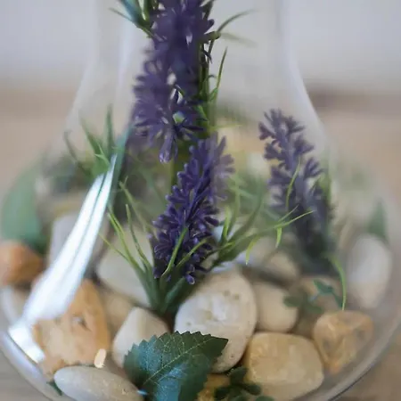 Appartement Primadonna Šibenik